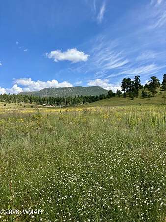 1.68 Acres of Residential Land for Sale in Alpine, Arizona