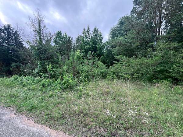 1.6 Acres of Residential Land for Sale in Haleyville, Alabama