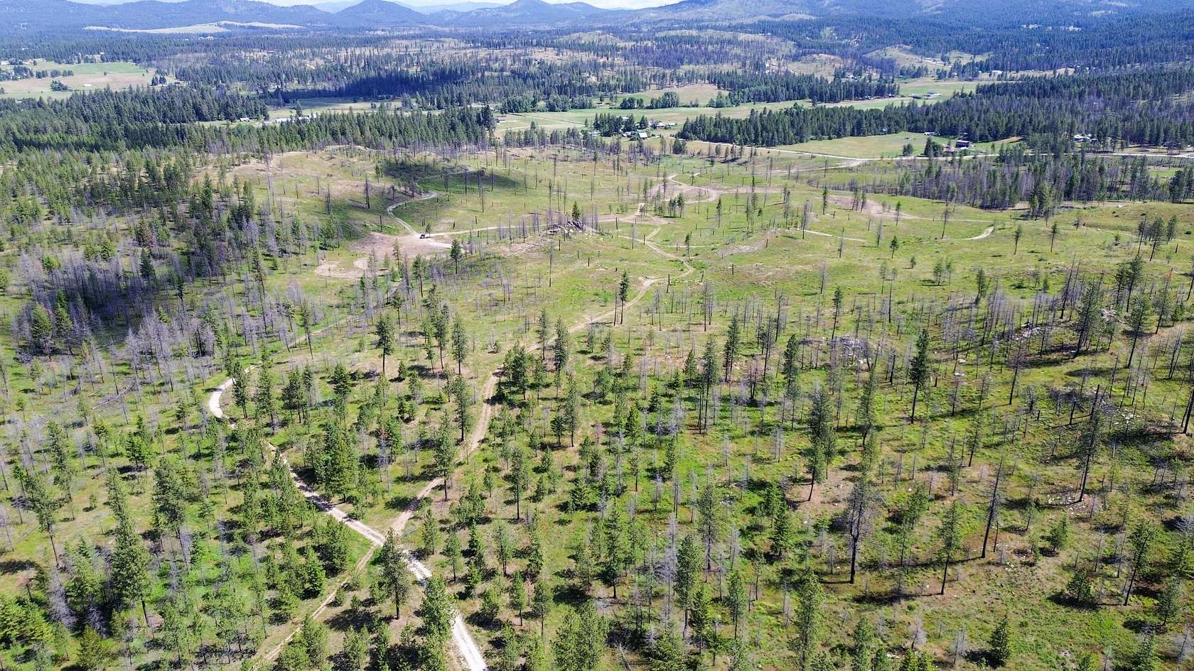 180 Acres of Land for Sale in Elk, Washington