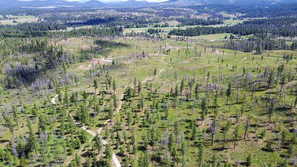 180 Acres of Land for Sale in Elk, Washington