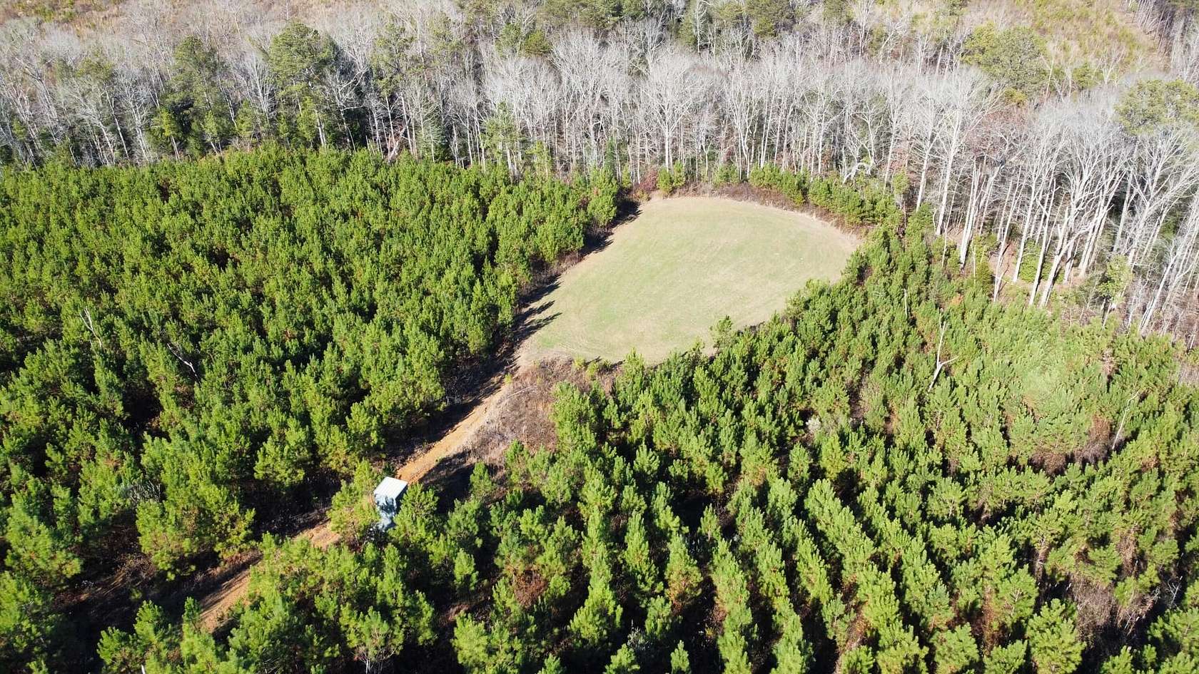 70 Acres of Land for Sale in Winfield, Alabama