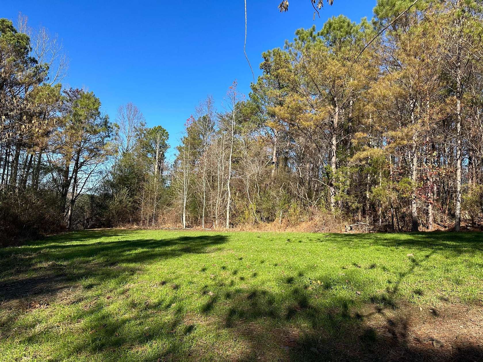 70 Acres of Land for Sale in Winfield, Alabama