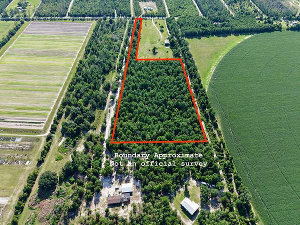 10 Acres of Recreational & Residential Land for Sale in Lee, Florida