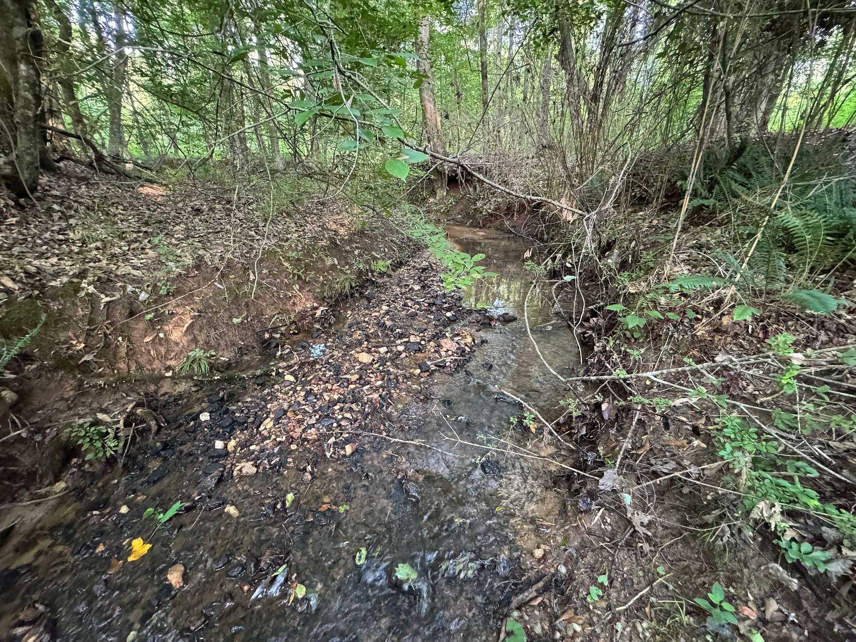 22.8 Acres of Land for Sale in Camp Hill, Alabama