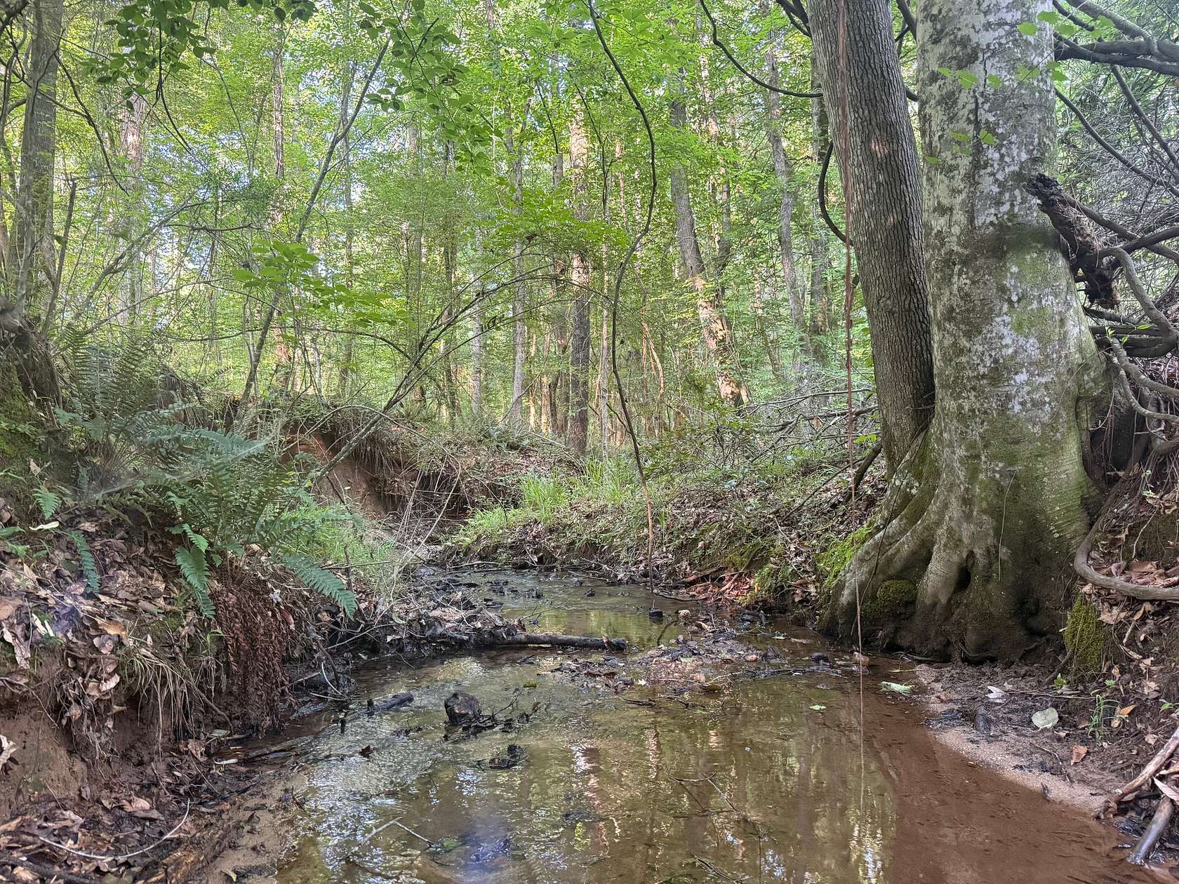 22.8 Acres of Land for Sale in Camp Hill, Alabama