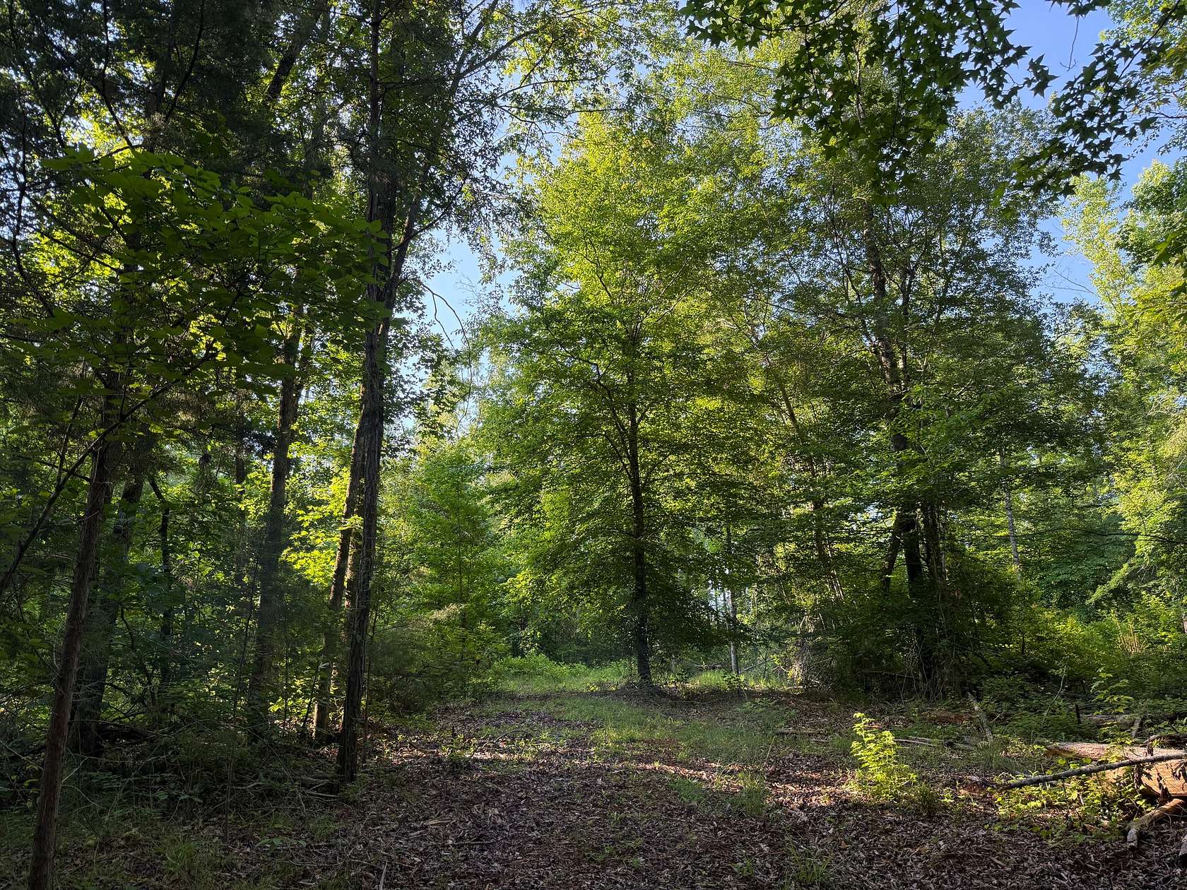 22.8 Acres of Land for Sale in Camp Hill, Alabama