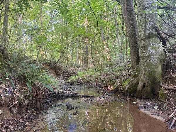 22.8 Acres of Land for Sale in Camp Hill, Alabama