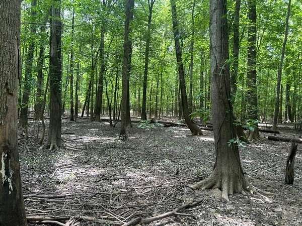 24 Acres of Recreational Land for Sale in Scottsburg, Indiana