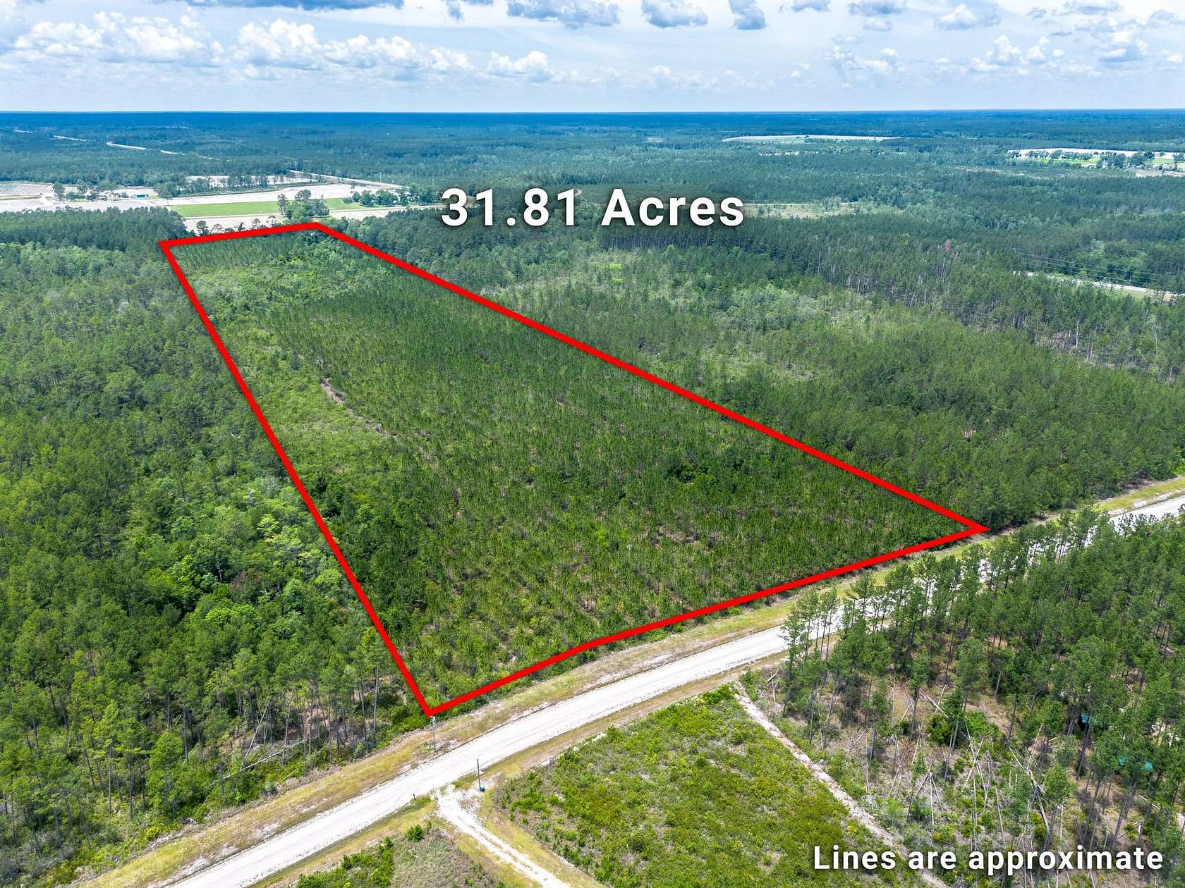 31.8 Acres of Recreational Land for Sale in Manor, Georgia