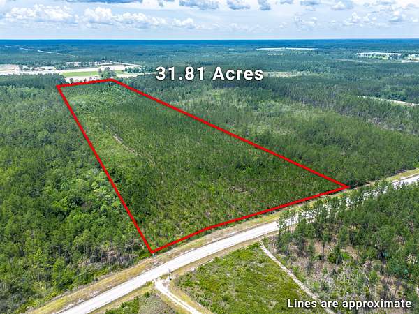 31.8 Acres of Recreational Land for Sale in Manor, Georgia