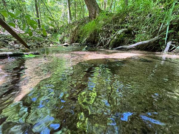 81 Acres of Recreational & Residential Land for Sale in Camp Hill, Alabama
