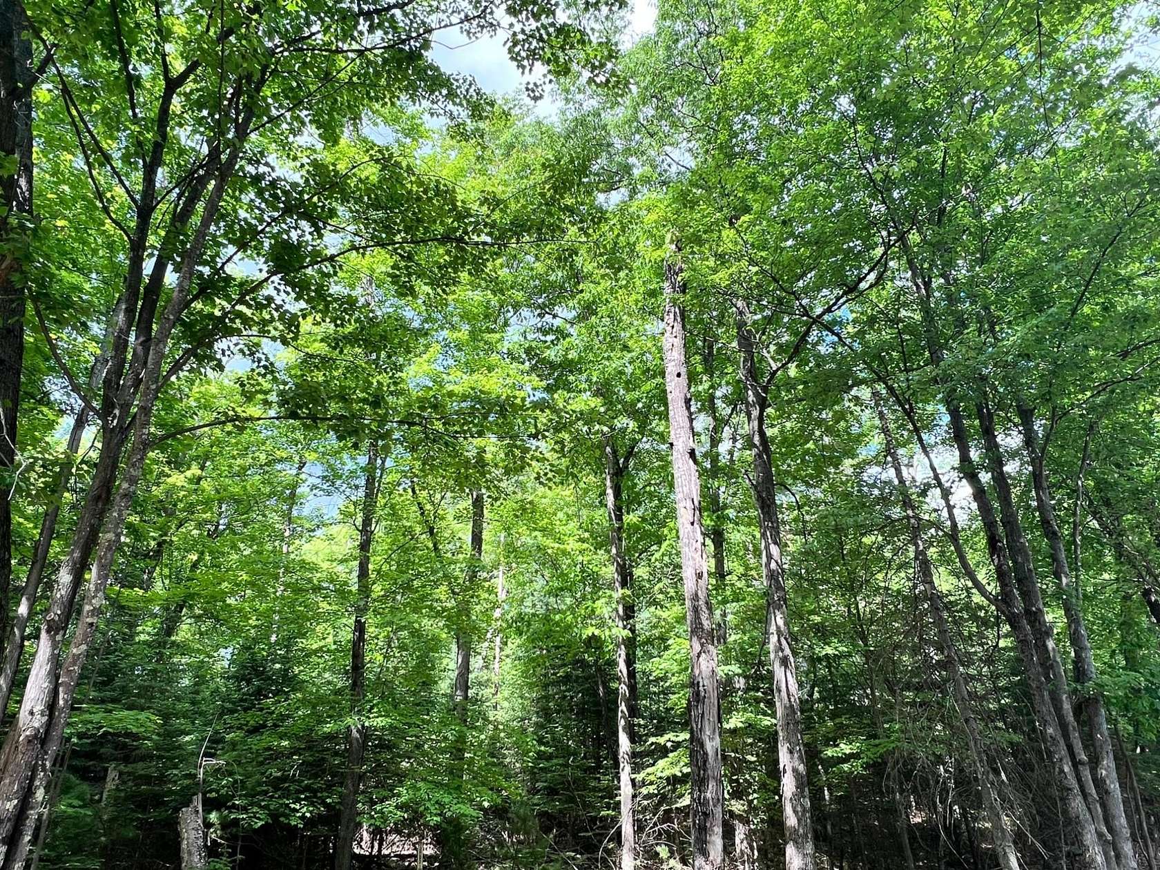 0.5 Acres of Land for Sale in Eagle River, Wisconsin