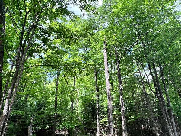 0.5 Acres of Land for Sale in Eagle River, Wisconsin