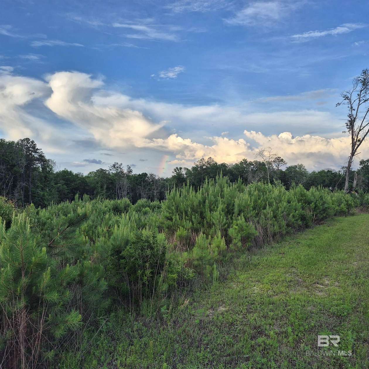 129 Acres of Recreational & Residential Land for Sale in Evergreen, Alabama