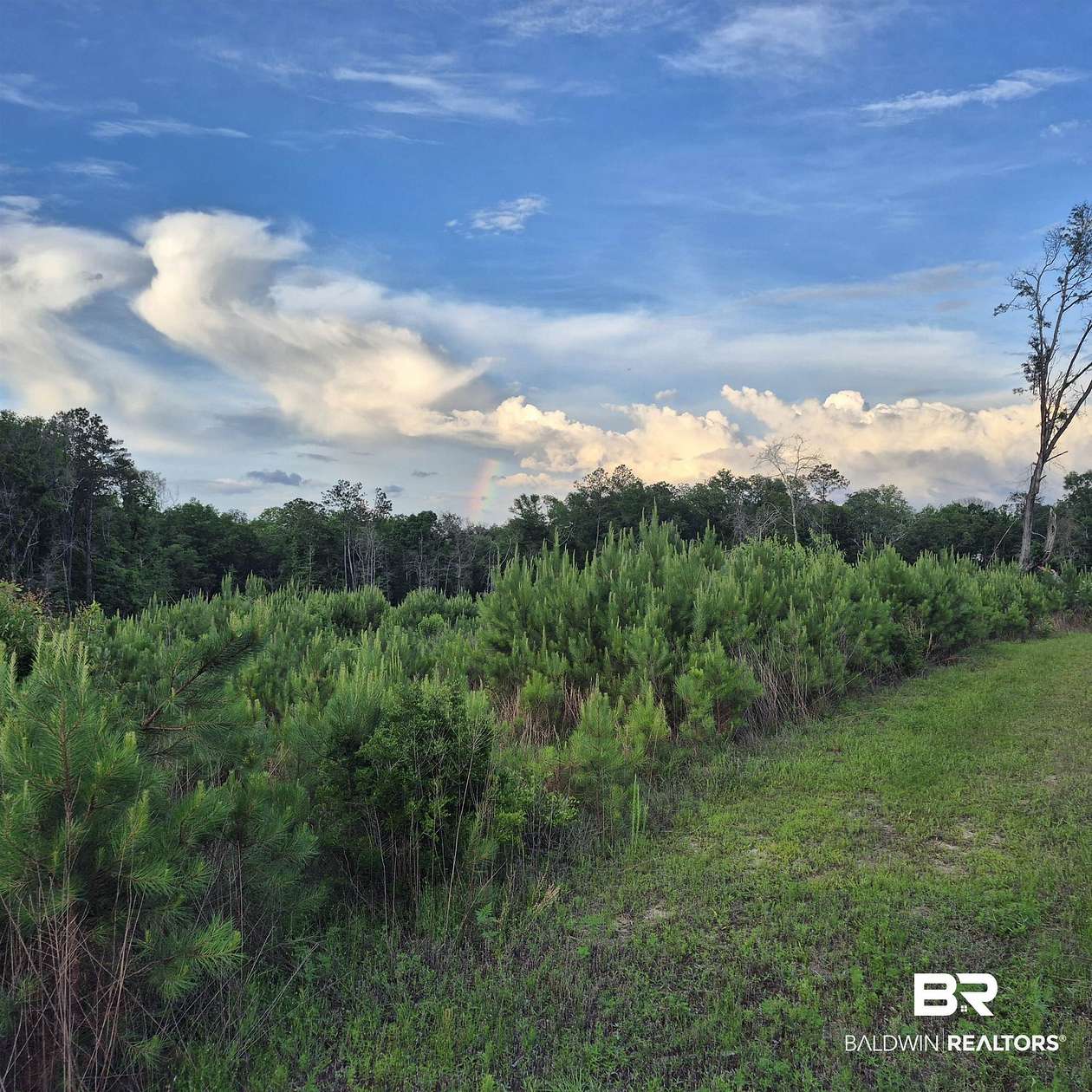 129 Acres of Recreational & Residential Land for Sale in Evergreen, Alabama