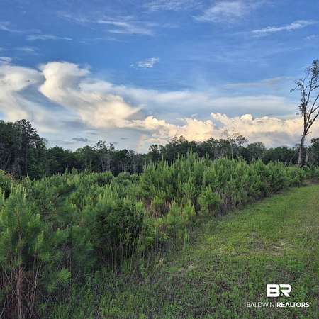 129 Acres of Recreational & Residential Land for Sale in Evergreen, Alabama
