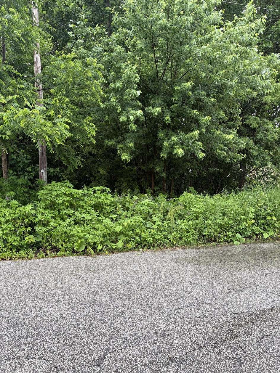 0.14 Acres of Residential Land for Sale in Hobart, Indiana