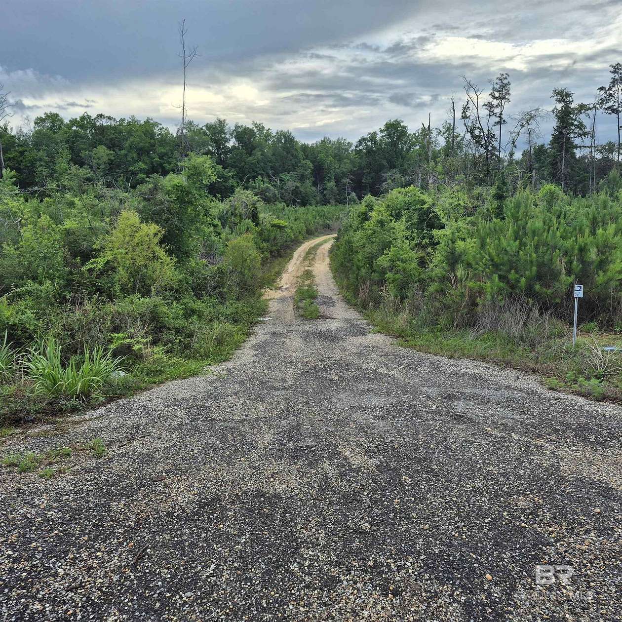 19 Acres of Recreational & Residential Land for Sale in Evergreen, Alabama