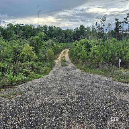 19 Acres of Recreational & Residential Land for Sale in Evergreen, Alabama