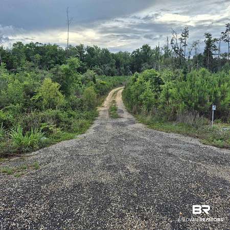 19 Acres of Recreational & Residential Land for Sale in Evergreen, Alabama