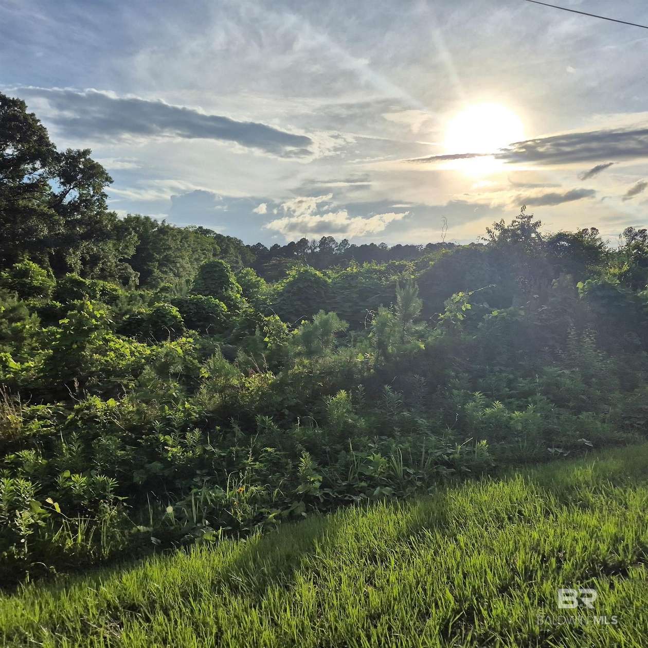 15.3 Acres of Recreational & Residential Land for Sale in Evergreen, Alabama