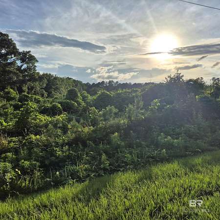 15.3 Acres of Recreational & Residential Land for Sale in Evergreen, Alabama