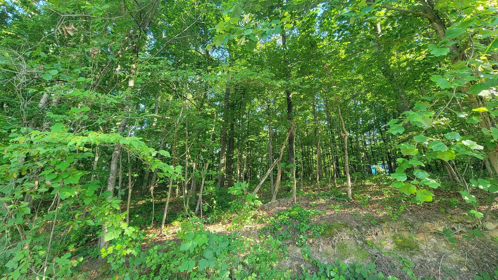 13.5 Acres of Recreational & Residential Land for Sale in Tuscumbia, Alabama