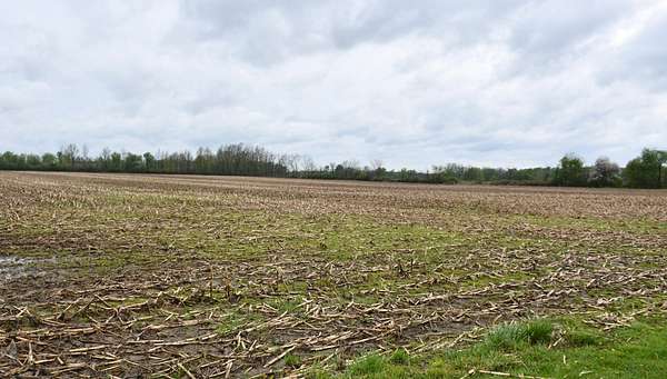 38.7 Acres of Agricultural Land with Home for Auction in Bellevue, Michigan