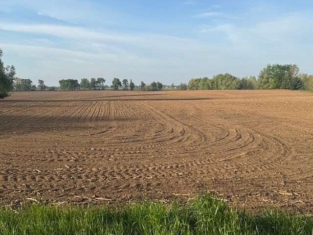 49.1 Acres of Agricultural Land for Auction in Ionia, Michigan