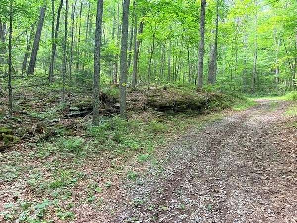 5 Acres of Residential Land for Sale in Hinton, West Virginia