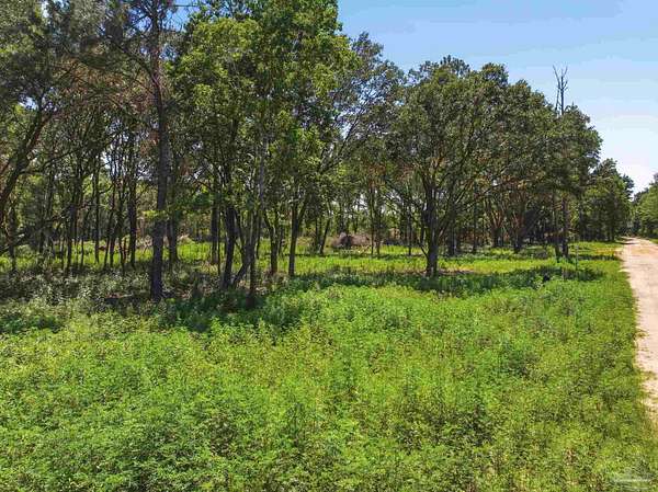 4.34 Acres of Residential Land for Sale in Milton, Florida