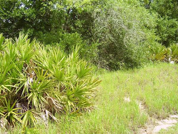 0.39 Acres of Residential Land for Sale in Kissimmee, Florida