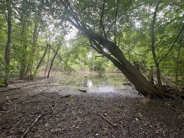 0.96 Acres of Residential Land for Sale in Naperville, Illinois