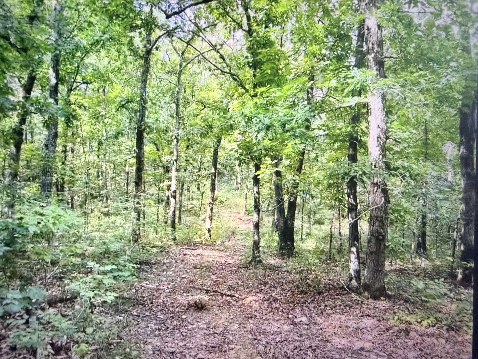 43.7 Acres of Land for Sale in Lincoln, Missouri