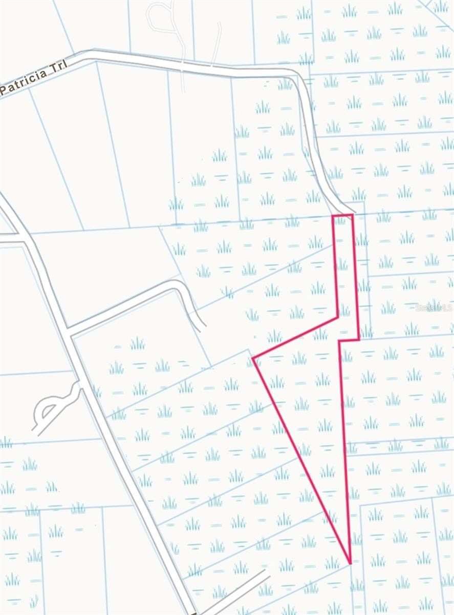 7 Acres of Land for Sale in Kissimmee, Florida
