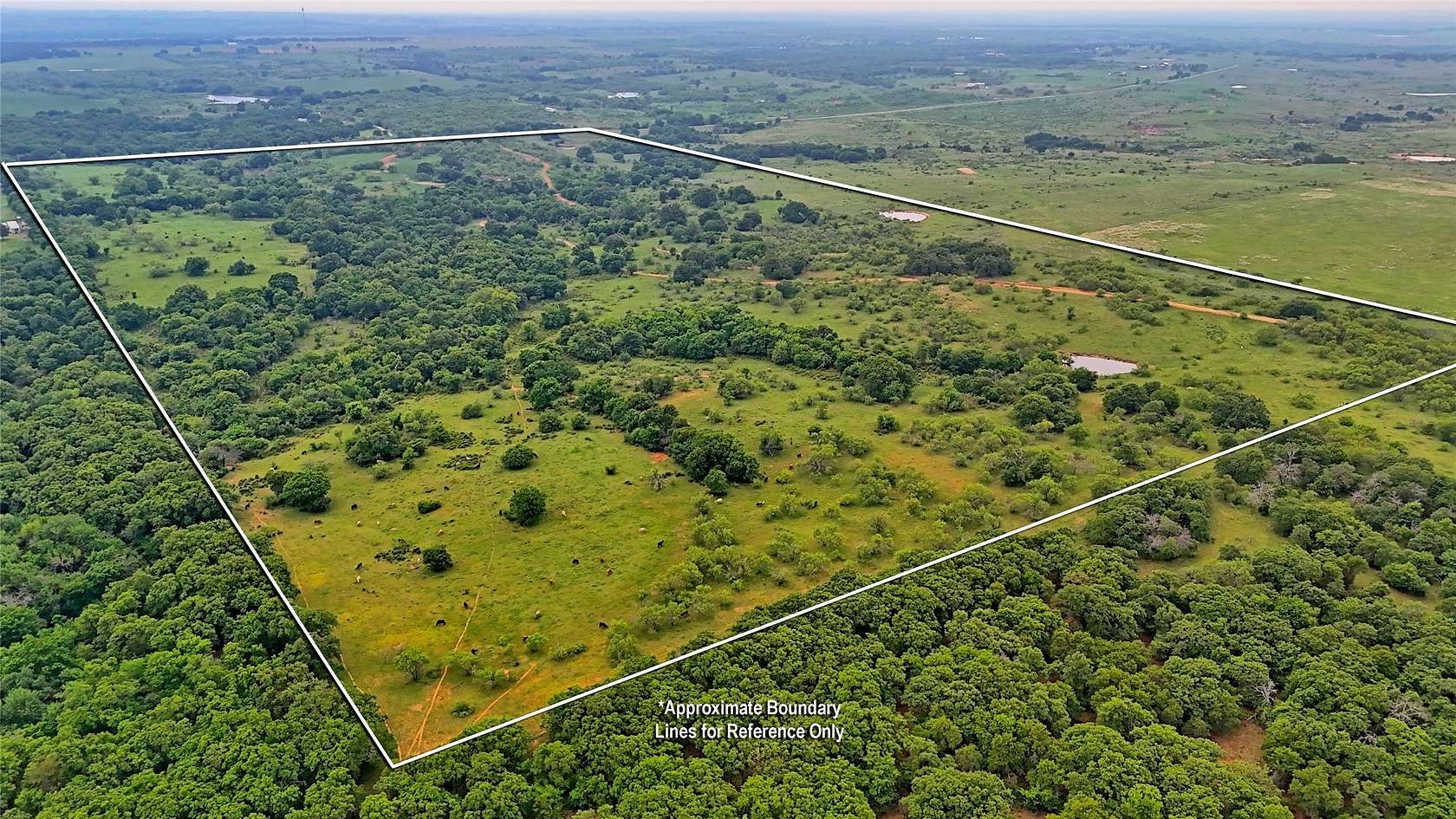 92.8 Acres of Land for Sale in Ringgold, Texas
