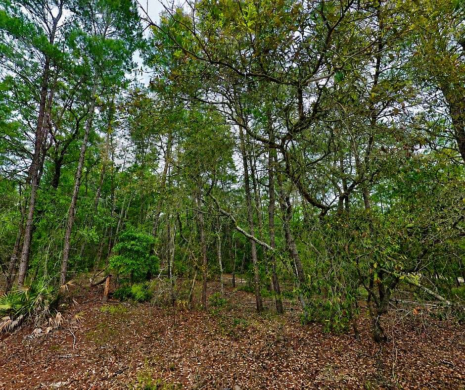 0.46 Acres of Residential Land for Sale in Satsuma, Florida
