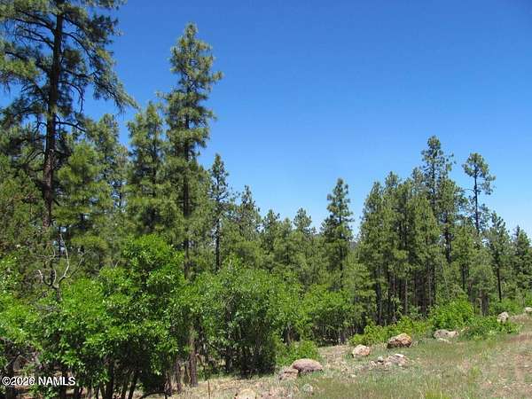 0.36 Acres of Residential Land for Sale in Williams, Arizona