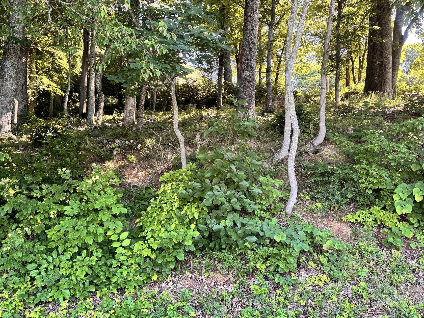 0.38 Acres of Residential Land for Sale in Morristown, Tennessee
