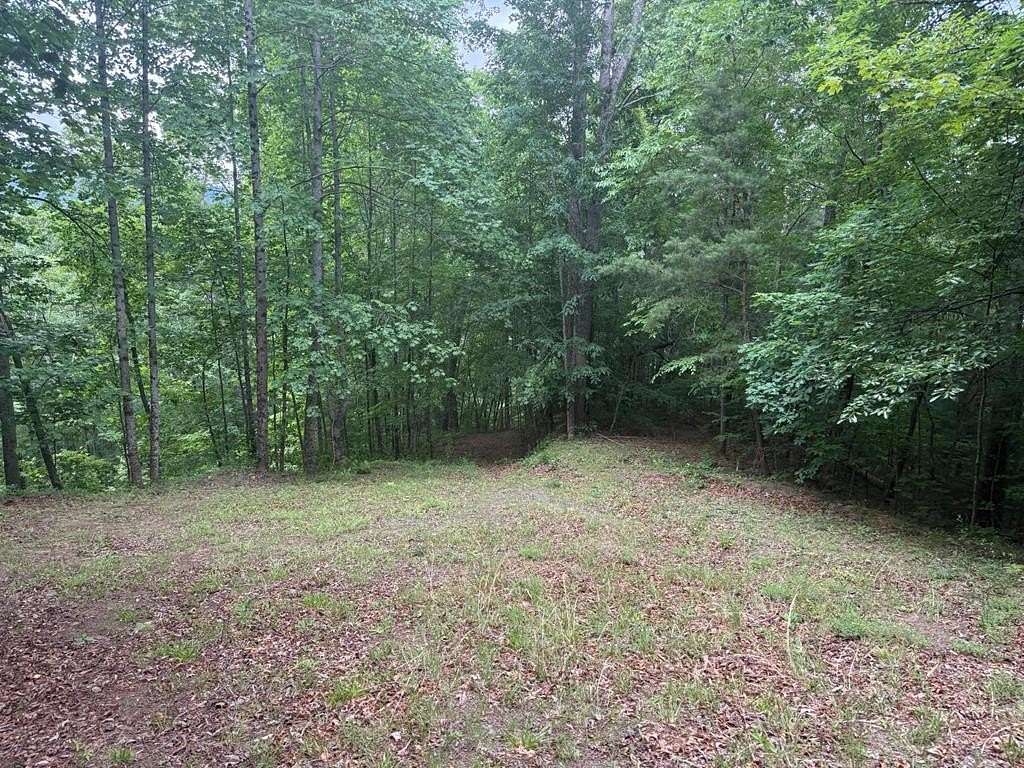 0.59 Acres of Residential Land for Sale in Robbinsville, North Carolina