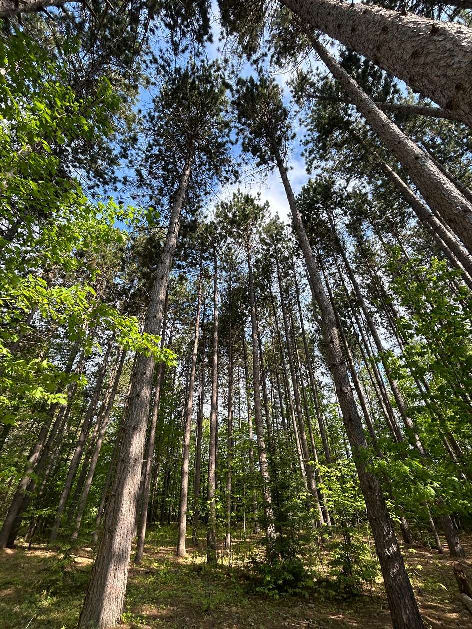 2.88 Acres of Residential Land for Sale in Marquette, Michigan