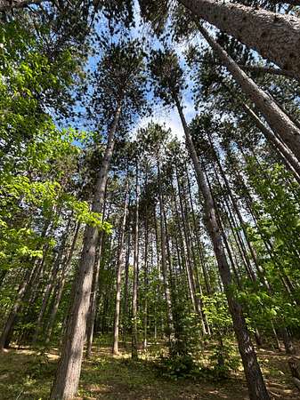 2.88 Acres of Residential Land for Sale in Marquette, Michigan