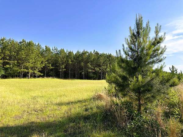 366 Acres of Recreational Land for Sale in Bradley, South Carolina