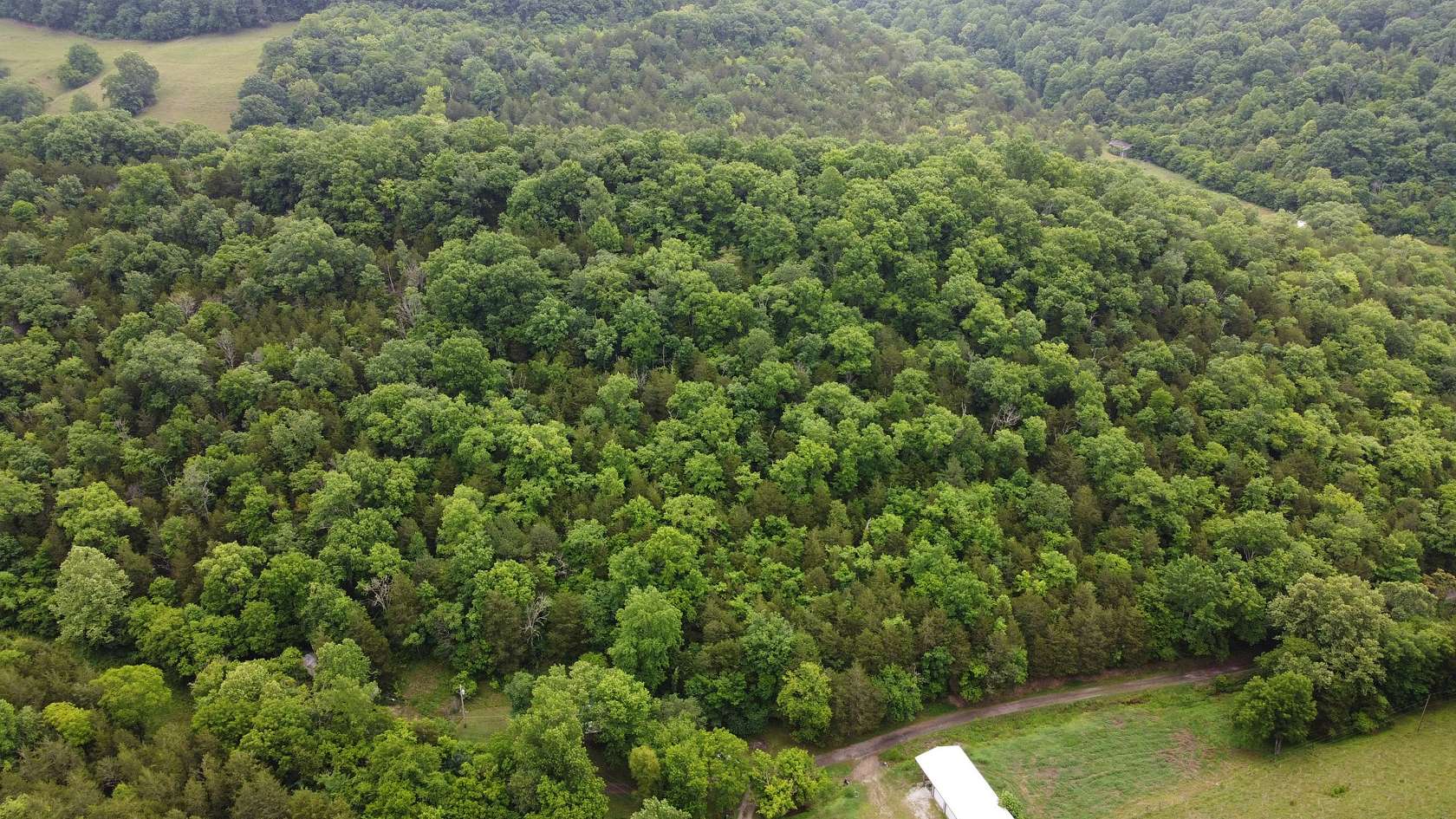 12.5 Acres of Land for Sale in Pleasant Shade, Tennessee
