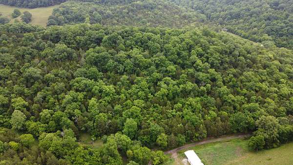 12.5 Acres of Land for Sale in Pleasant Shade, Tennessee