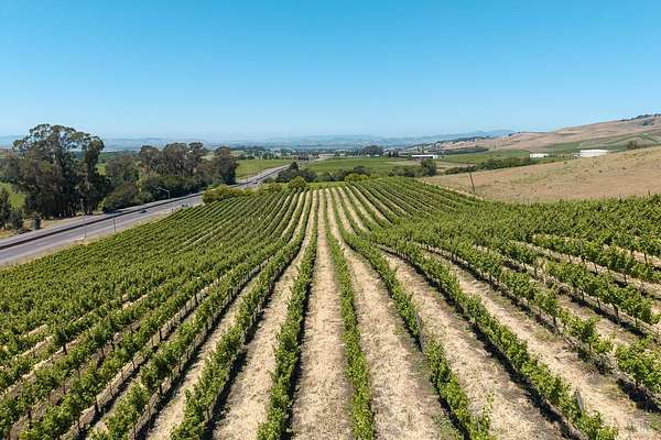 9.49 Acres of Agricultural Land for Sale in Napa, California