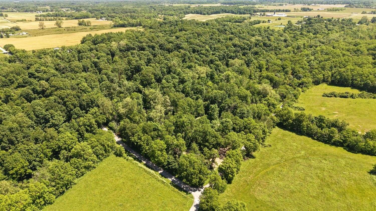 43.6 Acres of Land for Sale in Versailles, Indiana