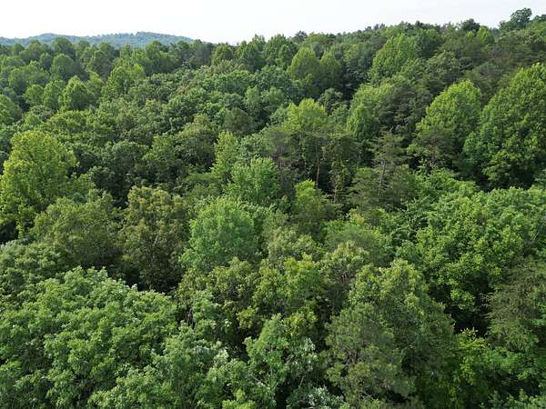 46 Acres of Recreational & Residential Land for Sale in Spencer, West Virginia