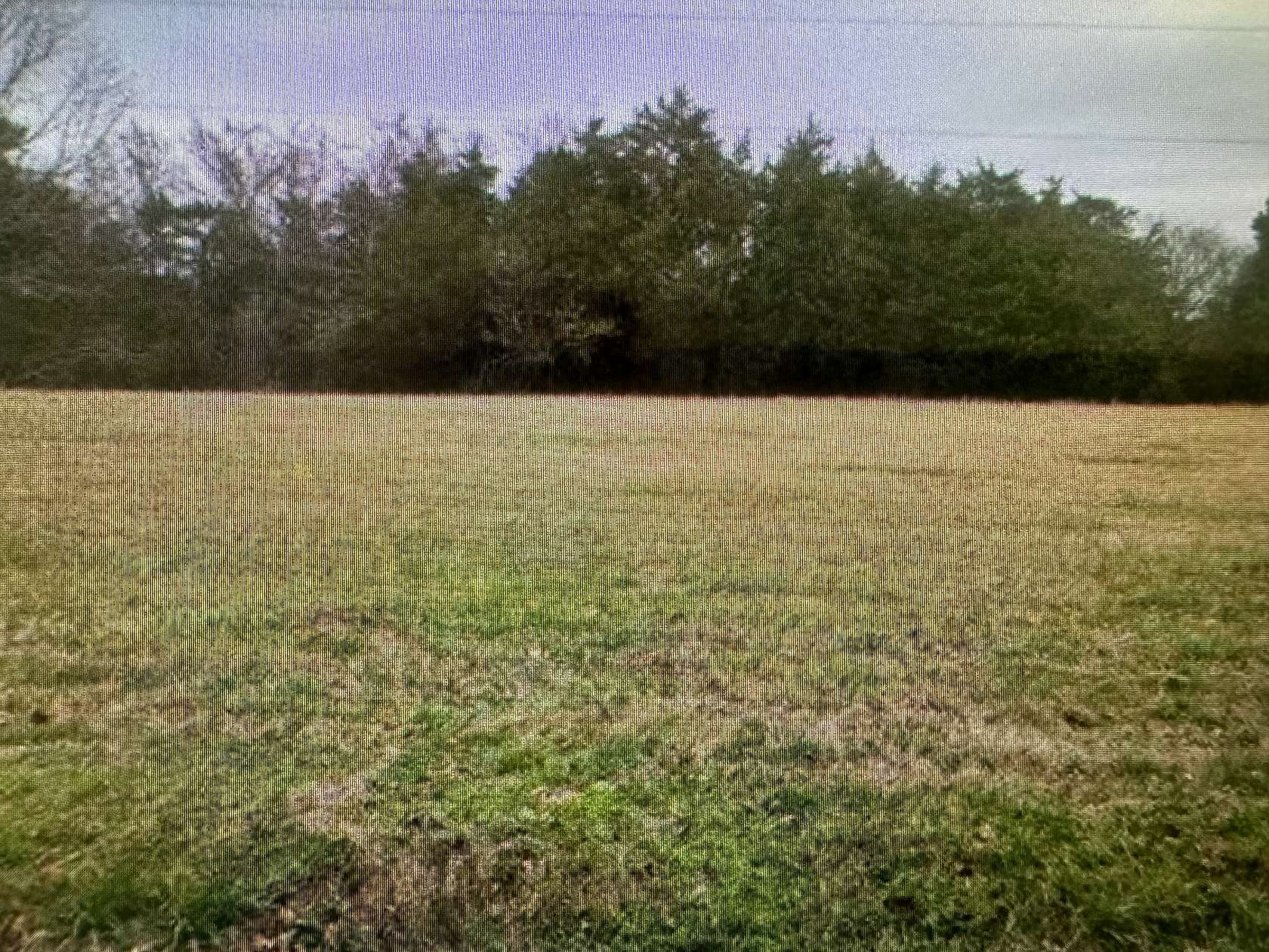 5 Acres of Residential Land for Sale in Lewisburg, Tennessee