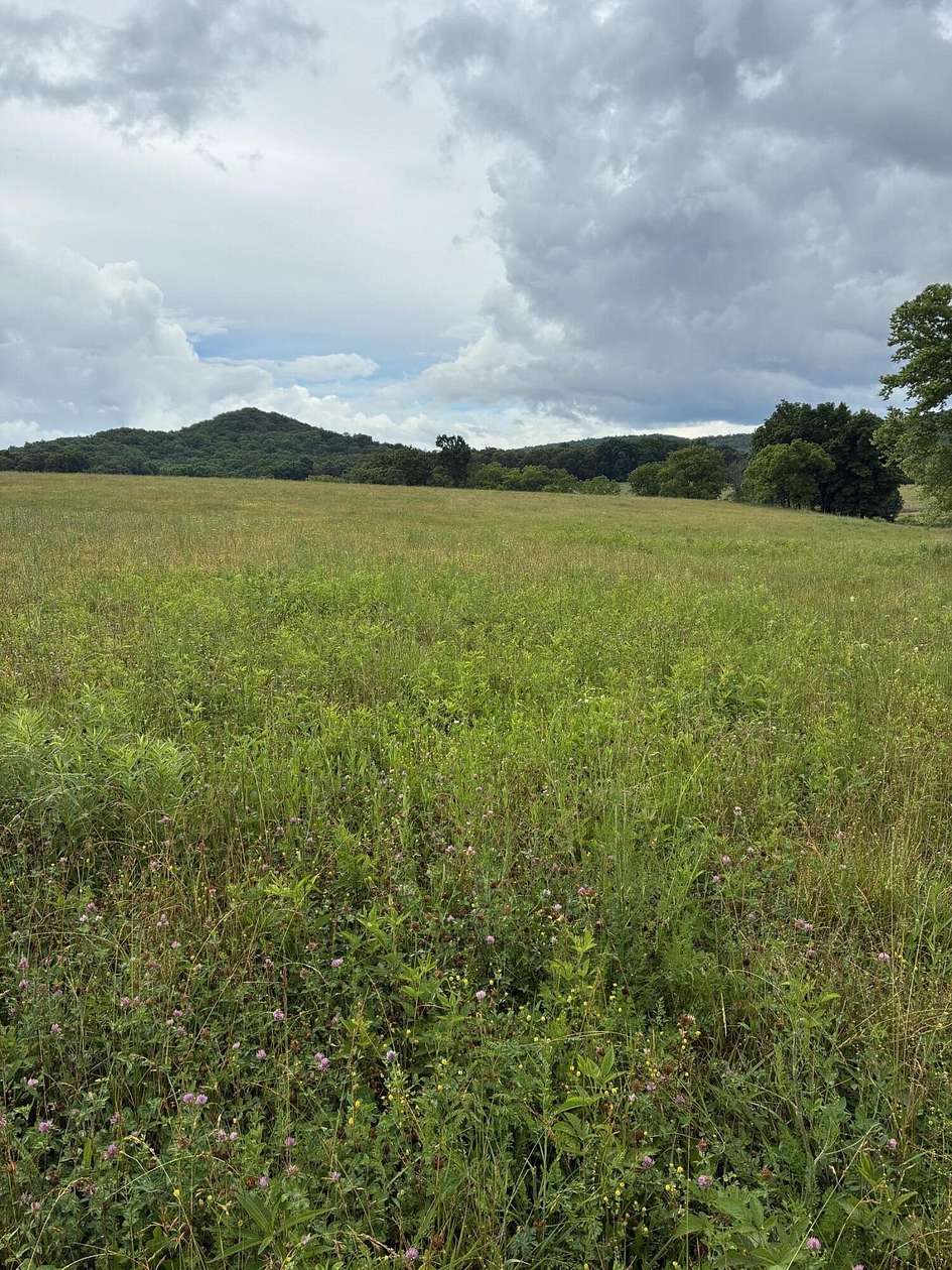32.2 Acres of Agricultural & Residential Land for Sale in Owingsville, Kentucky